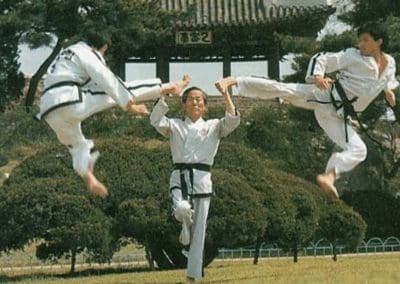 Taekwondo kicking