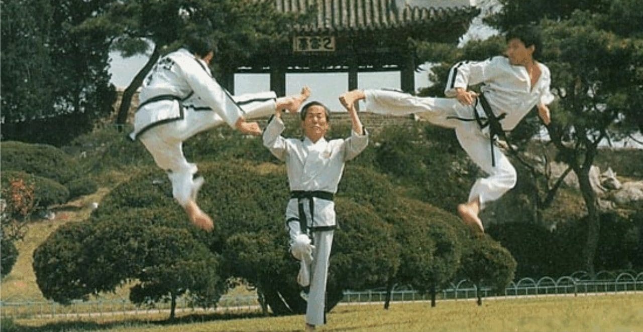 Taekwondo kicking